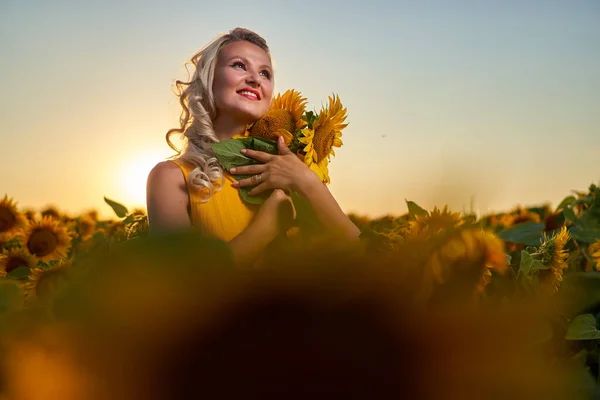 Krásná Blondýna Běloška Slunečnicovém Poli Při Západu Slunce — Stock fotografie