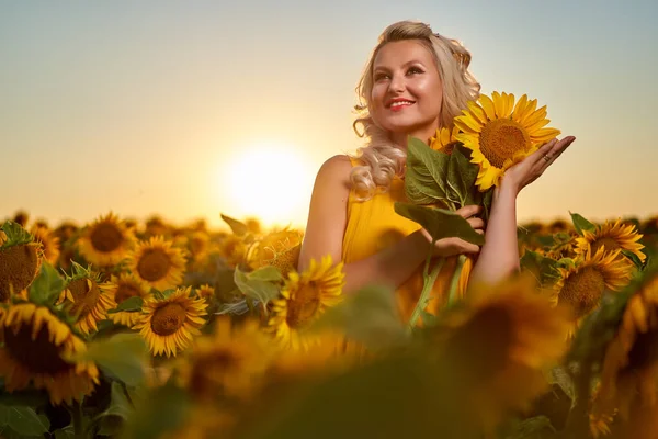 Mooie Blonde Blanke Vrouw Een Zonnebloem Veld Bij Zonsondergang — Stockfoto