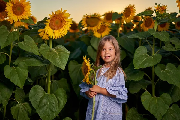 Schattig Klein Meisje Met Boerenhoed Een Zonnebloemveld — Stockfoto