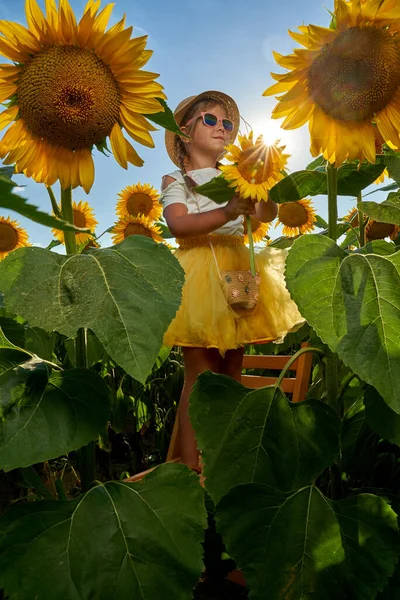 Schattig Klein Meisje Met Boerenhoed Een Zonnebloemveld — Stockfoto