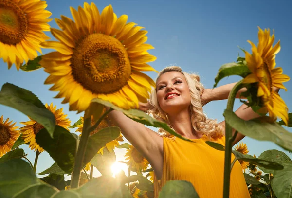 Hermosa Mujer Rubia Caucásica Campo Girasol Atardecer —  Fotos de Stock