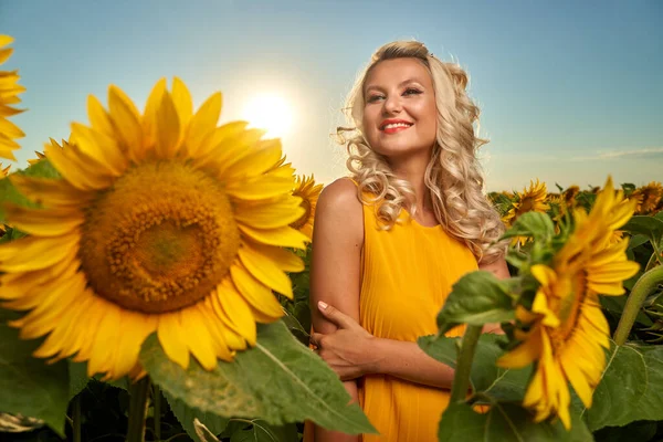 Piękna Blondynka Kaukaska Kobieta Polu Słonecznika Zachodzie Słońca Obrazek Stockowy