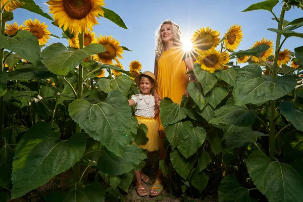若い母親と彼女のかわいい娘はひまわり畑で楽しんでいます — ストック写真