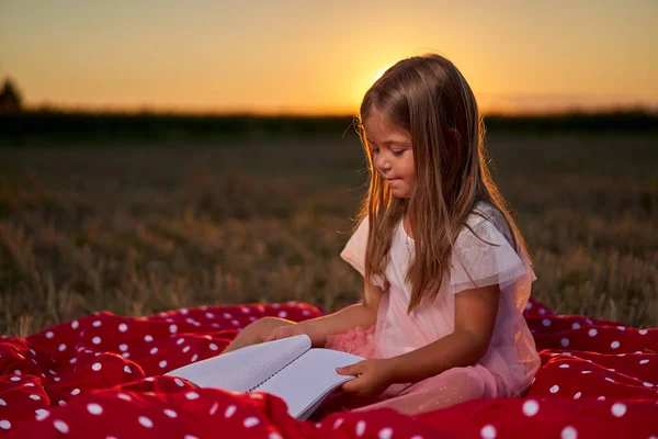 Милая Маленькая Девочка Рисует Блокноте Закате Поле — стоковое фото