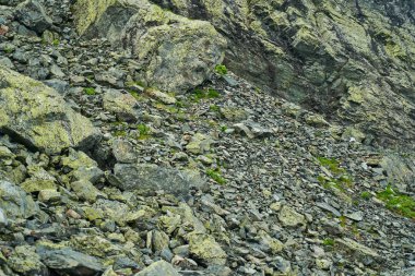 Dağ yamacı (talus))