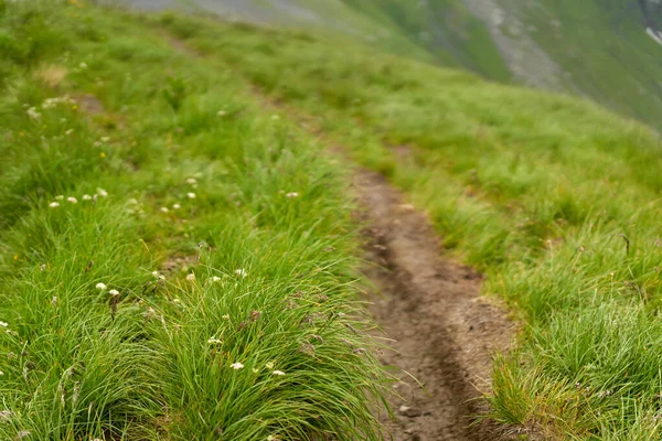 Bergwandelpad Mist — Stockfoto