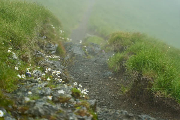 Sentiero Escursionistico Montagna Nella Nebbia — Foto Stock