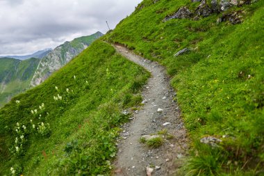 Bulutlu bir yaz gününde dağlık arazi