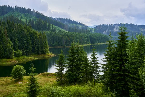 Τοπίο Λίμνη Και Ομιχλώδες Δάσος Στα Βουνά Μια Βροχερή Μέρα — Φωτογραφία Αρχείου