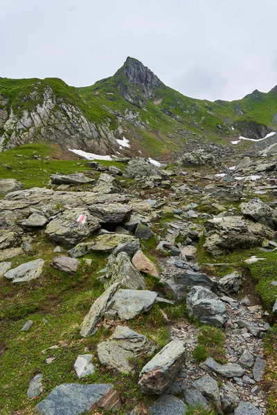 Paisaje Montañoso Nublado Día Nublado Verano — Foto de Stock