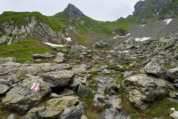 Berglandschaft Einem Bewölkten Nebligen Sommertag — Stockfoto