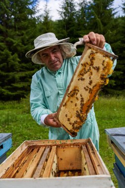 Bir el arı yetiştiricisi arı kovanlarından tarak topluyor.