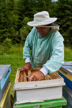 Bir el arı yetiştiricisi arı kovanlarından tarak topluyor.