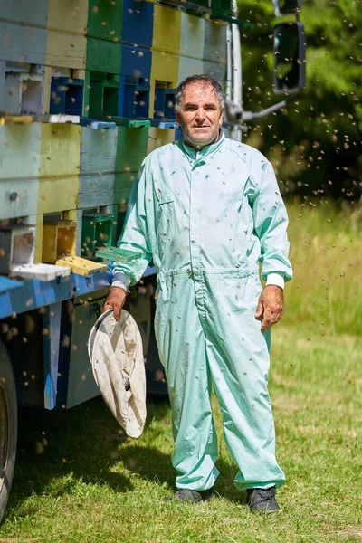 Μελισσοκόμος Ελέγχει Μελίσσια Του Στο Φορτηγό Του — Φωτογραφία Αρχείου