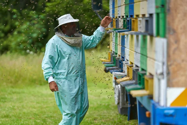 Μελισσοκόμος Συνολικά Προστατευτικό Εξοπλισμό Ελέγχου Των Κυψελών Στο Φορτηγό Του — Φωτογραφία Αρχείου