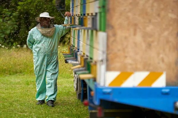 Imker Schutzausrüstung Kontrolliert Bienenstöcke Seinem Lkw — Stockfoto