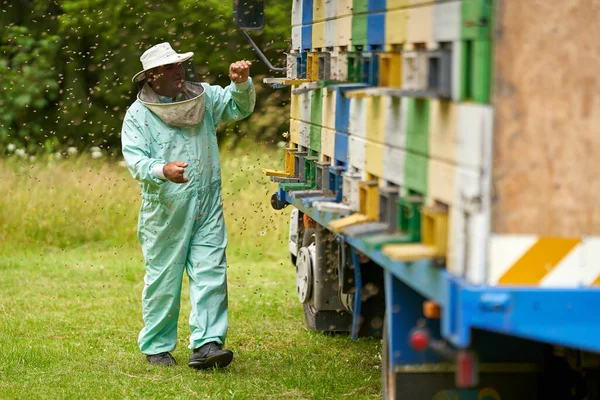 Bijenhouder Algemeen Beschermend Vistuig Controleert Kasten Zijn Vrachtwagen — Stockfoto