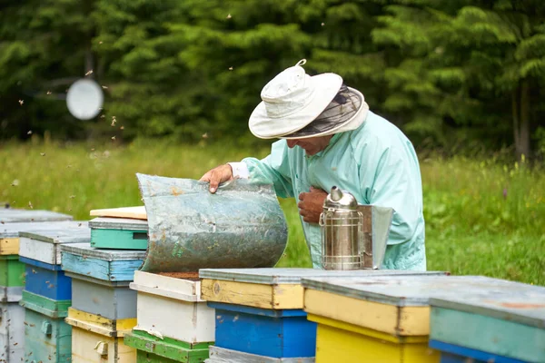 One handed beekeeper extracting the combs from the bee hives