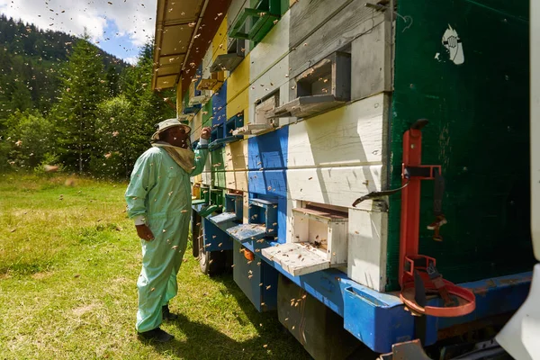 养蜂人穿着全套防护服检查卡车上的蜂箱 — 图库照片
