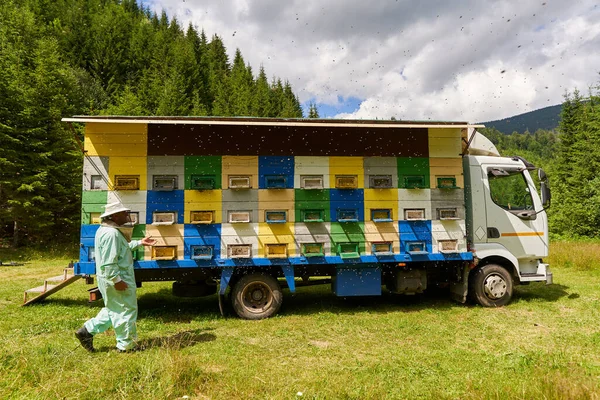 Apicoltore Con Attrezzatura Protettiva Globale Che Controlla Gli Alveari Nel — Foto Stock