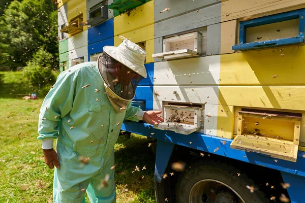 彼の栄光のじんましんをチェック全体的な保護具の養蜂家 — ストック写真