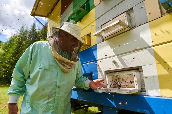 Bijenhouder Algemeen Beschermend Vistuig Controleert Kasten Zijn Vrachtwagen — Stockfoto