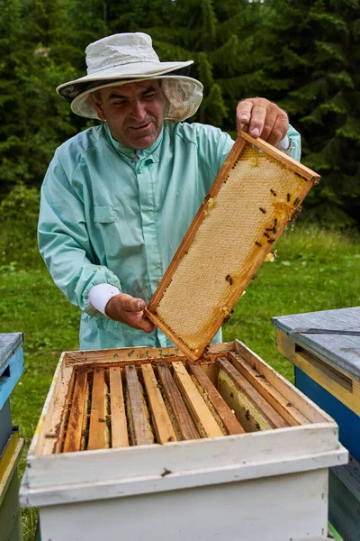 Eenhandige Imker Die Kammen Uit Bijenkorven Haalt — Stockfoto