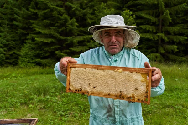 One handed beekeeper extracting the combs from the bee hives