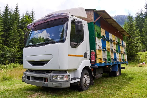 Camión Con Colmenas Abejas Las Montañas — Foto de Stock