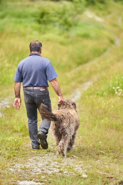 Dojrzałe Mężczyzna Duży Pasterz Strażnik Pies Grać Zewnątrz — Zdjęcie stockowe