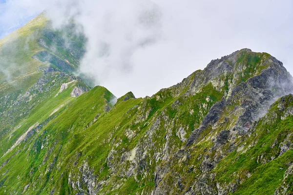 Dağlık arazide, sisli dağlarda yürüyüş izleri var.