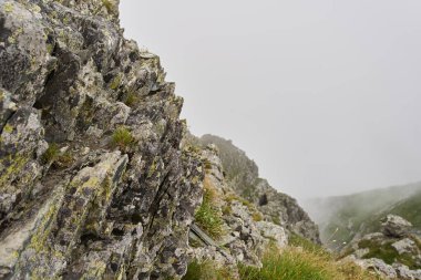 Bulutlu bir yaz gününde Alp manzarası