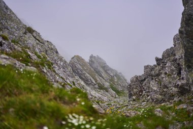 Bulutlu bir yaz gününde Alp manzarası