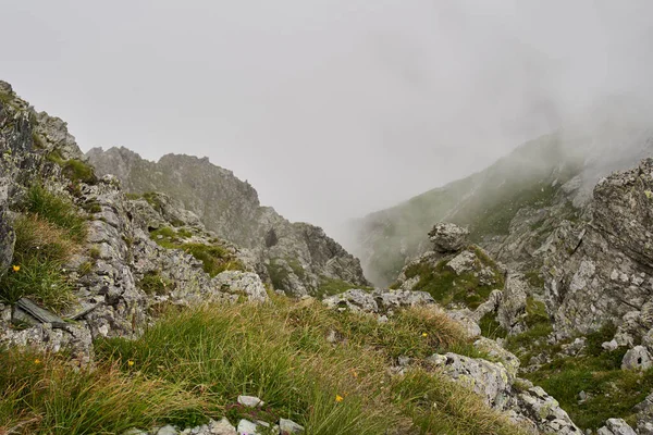 Paisagem Alpina Dia Chuvoso Nublado Verão — Fotografia de Stock
