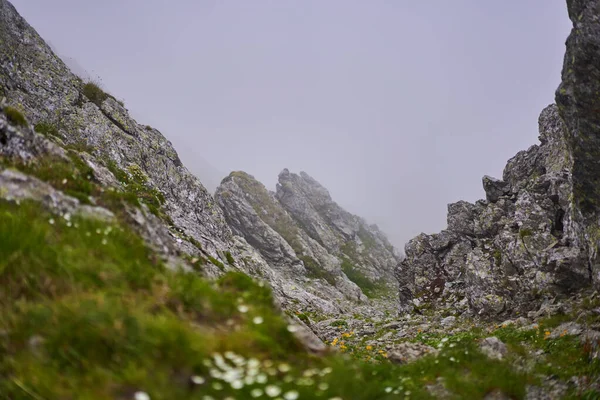 Альпійський Краєвид Похмурий Дощовий Літній День — стокове фото