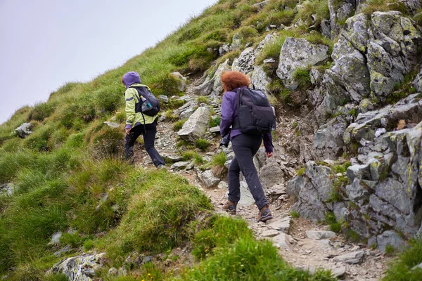 Két Barát Női Turista Hátizsákkal Együtt Túrázik Hegyekben — Stock Fotó