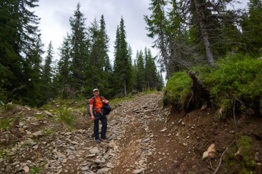 İki büyük sırt çantalı adam dağdaki çam ormanında yürüyüş yapıyor.