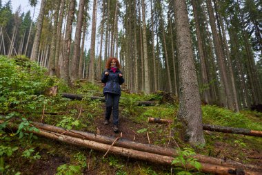 Yağmurluklu ve sırt çantalı bir turist yağmurlu bir günde dağ çam ormanlarında yürüyüş yapıyor.