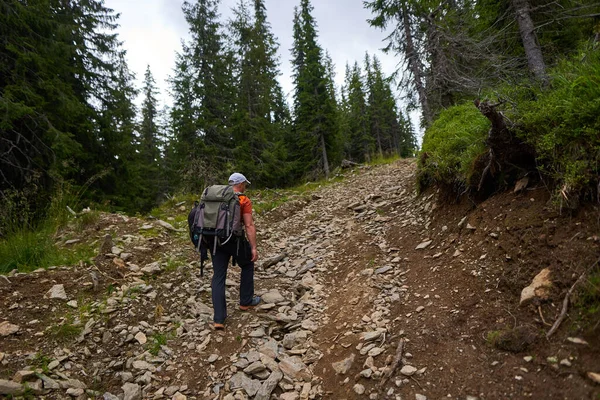 Hombre Con Dos Mochilas Grandes Caminando Por Bosque Pinos Montaña —  Fotos de Stock