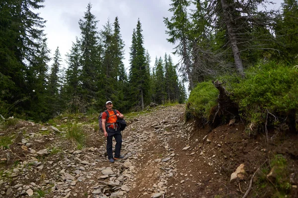 İki büyük sırt çantalı adam dağdaki çam ormanında yürüyüş yapıyor.