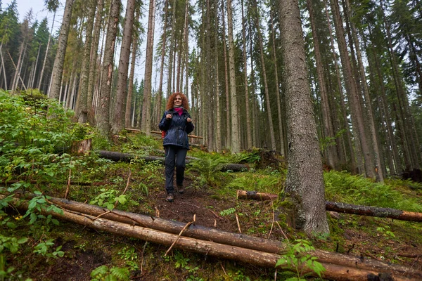 Touriste Femme Avec Imperméable Sac Dos Randonnée Travers Forêt Pins — Photo