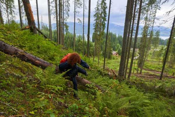 Yağmurluklu ve sırt çantalı bir turist yağmurlu bir günde dağ çam ormanlarında yürüyüş yapıyor.