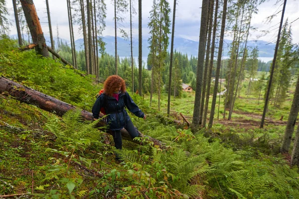 Turista Mujer Con Impermeable Mochila Senderismo Través Del Bosque Pinos —  Fotos de Stock