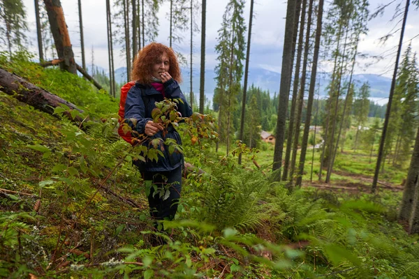 バックパックを持つ女性ハイカー森の中の茂みからラズベリーを選ぶ — ストック写真
