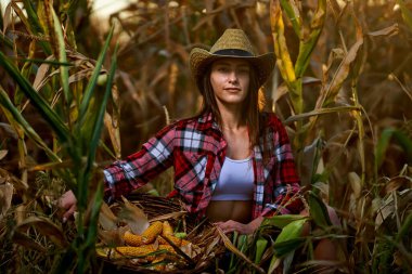 Mısır hasadında şapkalı ve ekose gömlekli güzel çiftçi kadın.