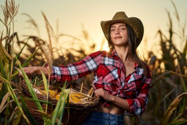Mısır hasadında şapkalı ve ekose gömlekli güzel çiftçi kadın.
