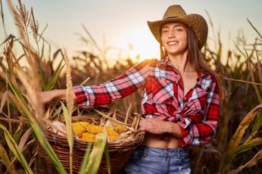 Mısır hasadında şapkalı ve ekose gömlekli güzel çiftçi kadın.