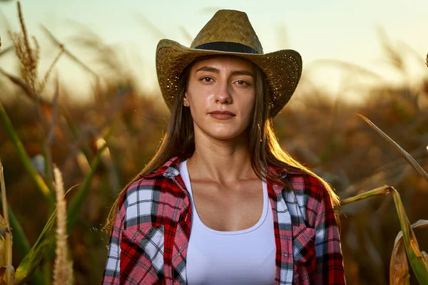 Detailní Záběr Krásné Farmářské Ženy Stojící Kukuřičném Poli Při Západu — Stock fotografie