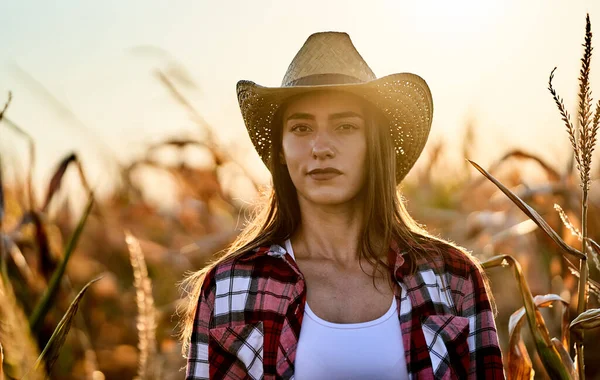 Detailní Záběr Krásné Farmářské Ženy Stojící Kukuřičném Poli Při Západu — Stock fotografie