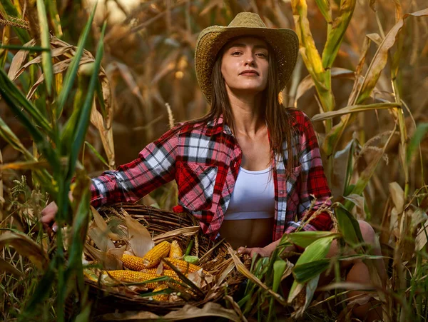 Petani Muda Cantik Bertopi Dan Kemeja Kotak Kotak Panen Jagung — Stok Foto